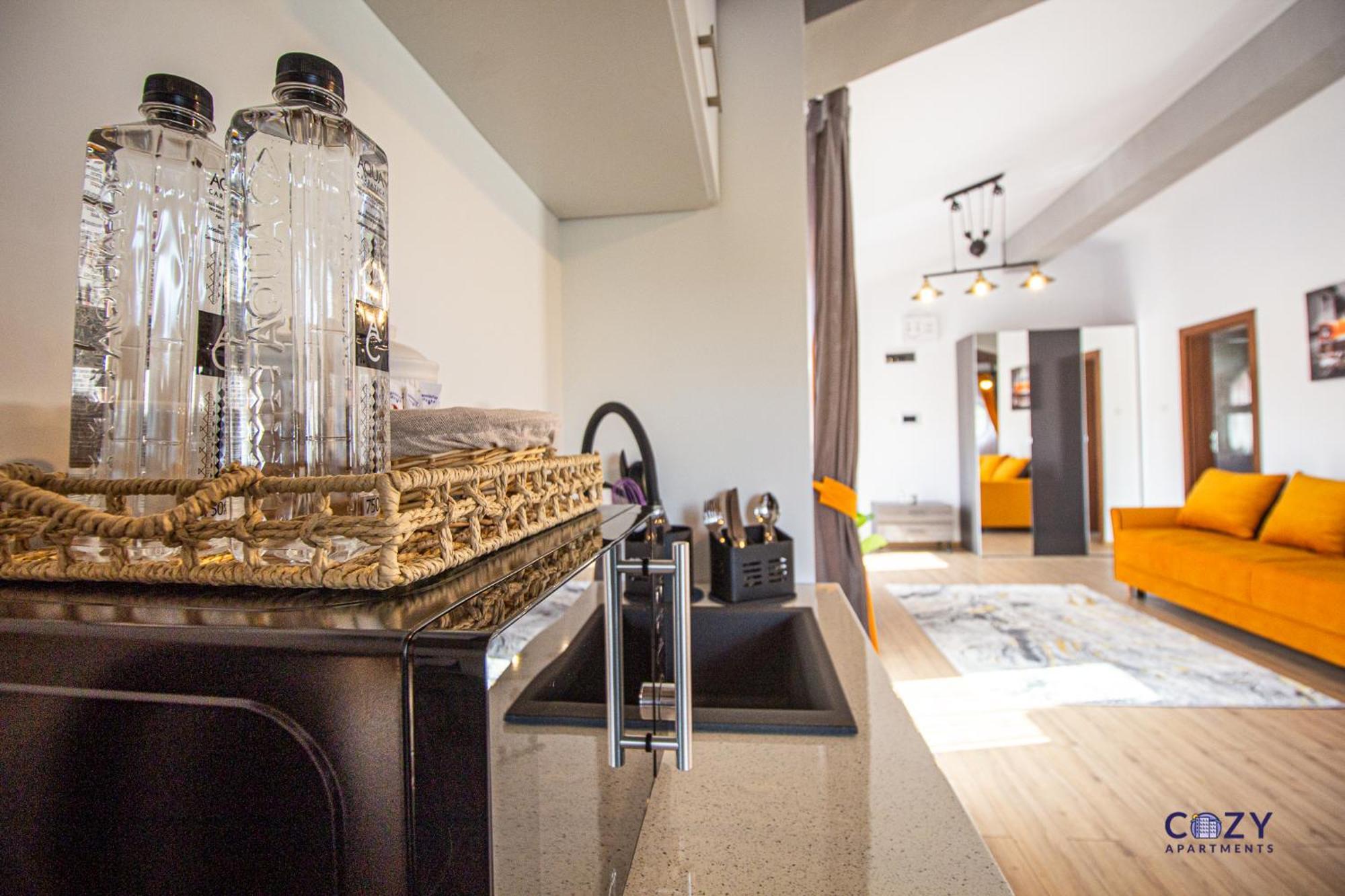Aparthotel Cozy Brand New Boutique Brasov